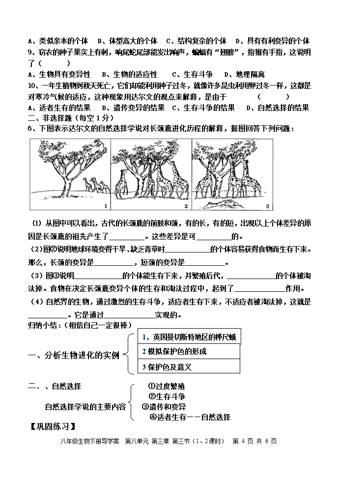 8.3.3 生物进化的原因 导学案（含答案）.doc第4页