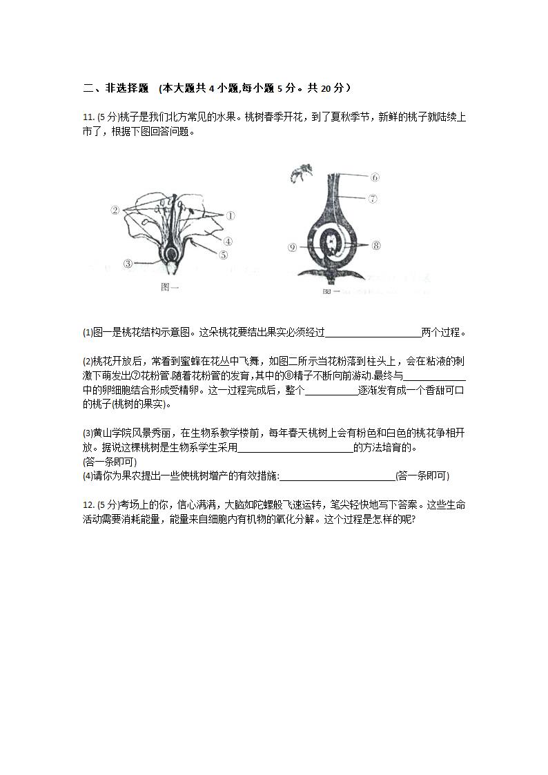 2021年安徽省中考生物模拟卷（word版 ）.doc第3页