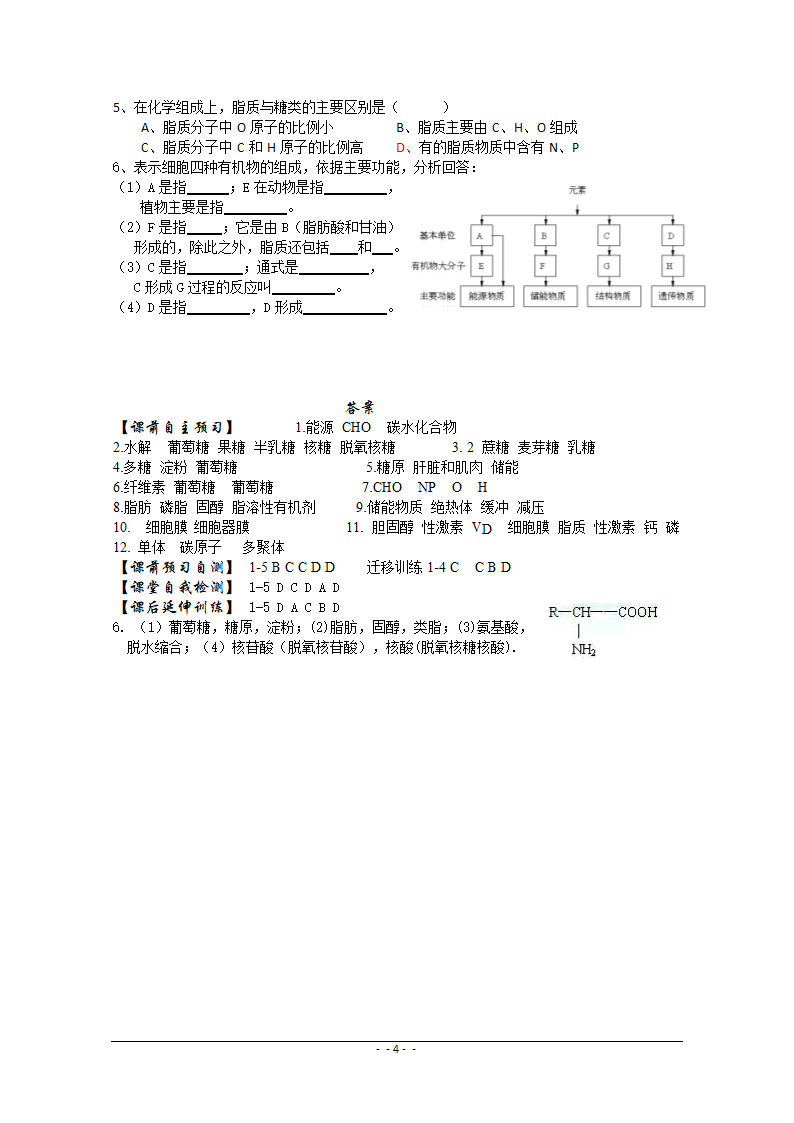 生物必修一学案：2.4细胞中的糖类和脂质.doc第4页