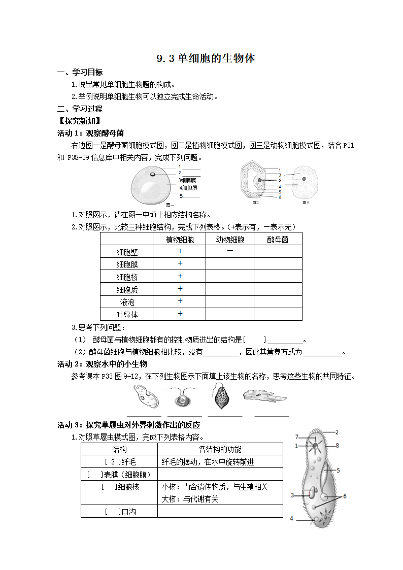 9.3单细胞的生物体学案（无答案）.doc