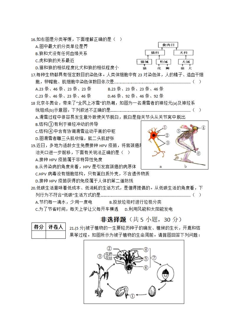 2022年河南省普通高中招生考试模拟试卷  生物（冲刺一） 试卷 （有答案）.doc第3页