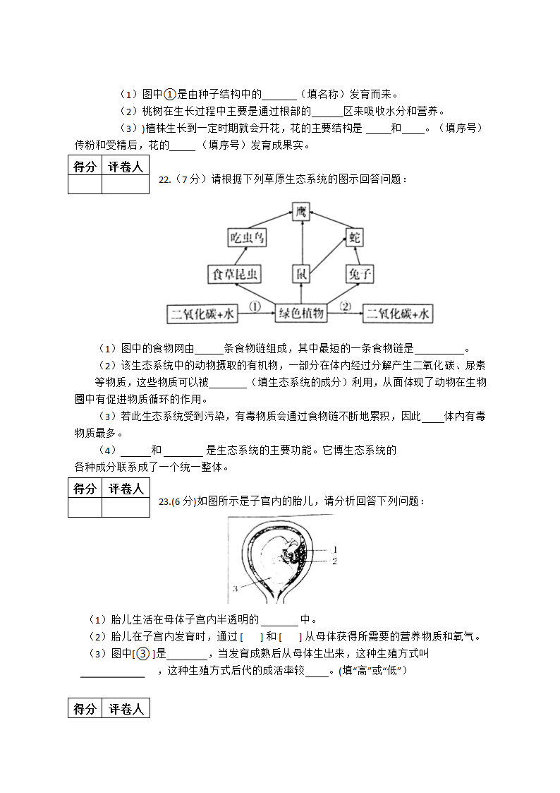 2022年河南省普通高中招生考试模拟试卷  生物（冲刺一） 试卷 （有答案）.doc第4页