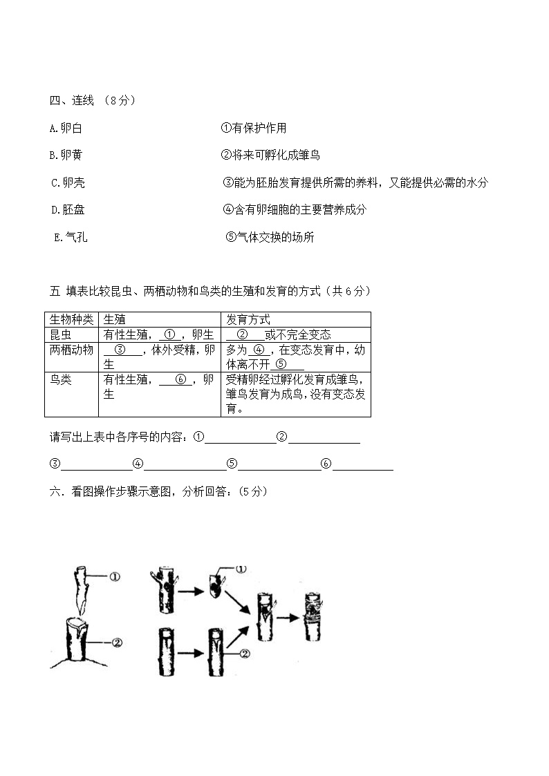 八年级生物下册期中测试卷及答案.docx第5页