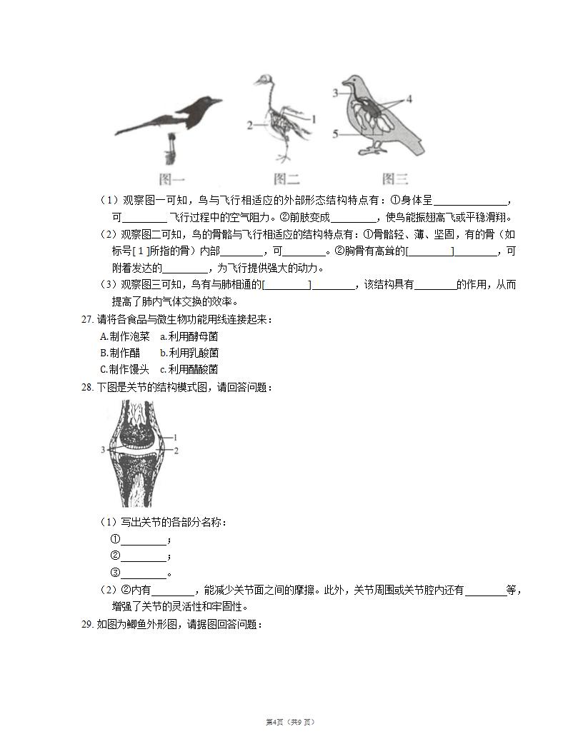 人教版八上生物 期末测试（二）（word版含解析）.doc第4页