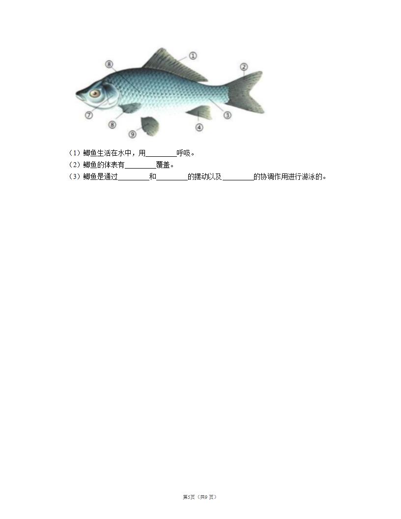 人教版八上生物 期末测试（二）（word版含解析）.doc第5页