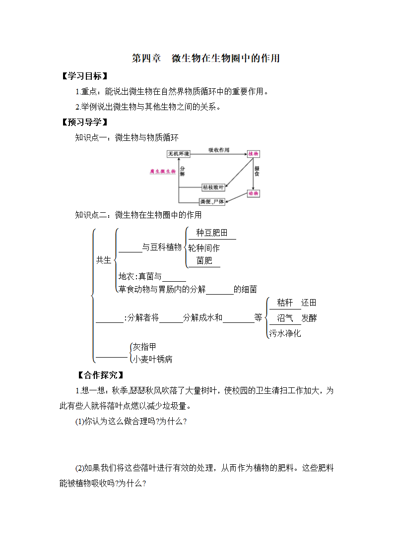 《微生物在生物圈中的作用》导学案.doc第1页