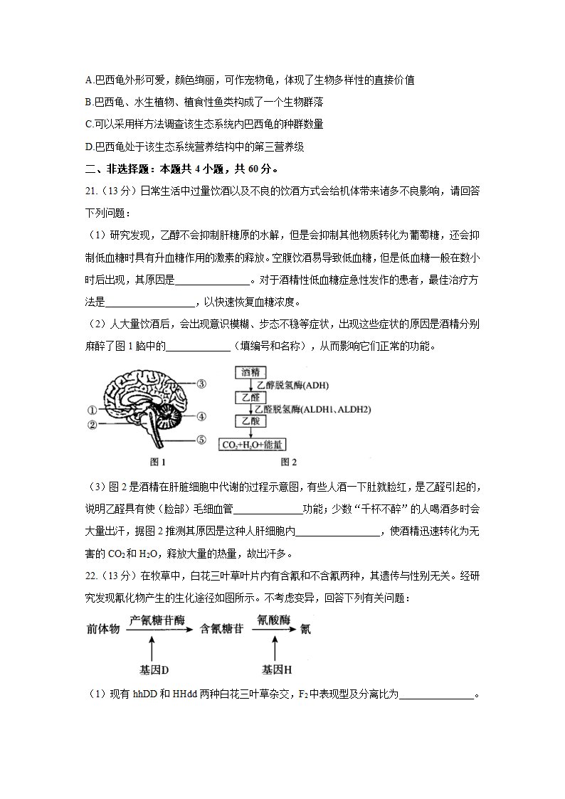 2021届高考生物钻石预测卷   湖北专用 Word版含解析.doc第6页