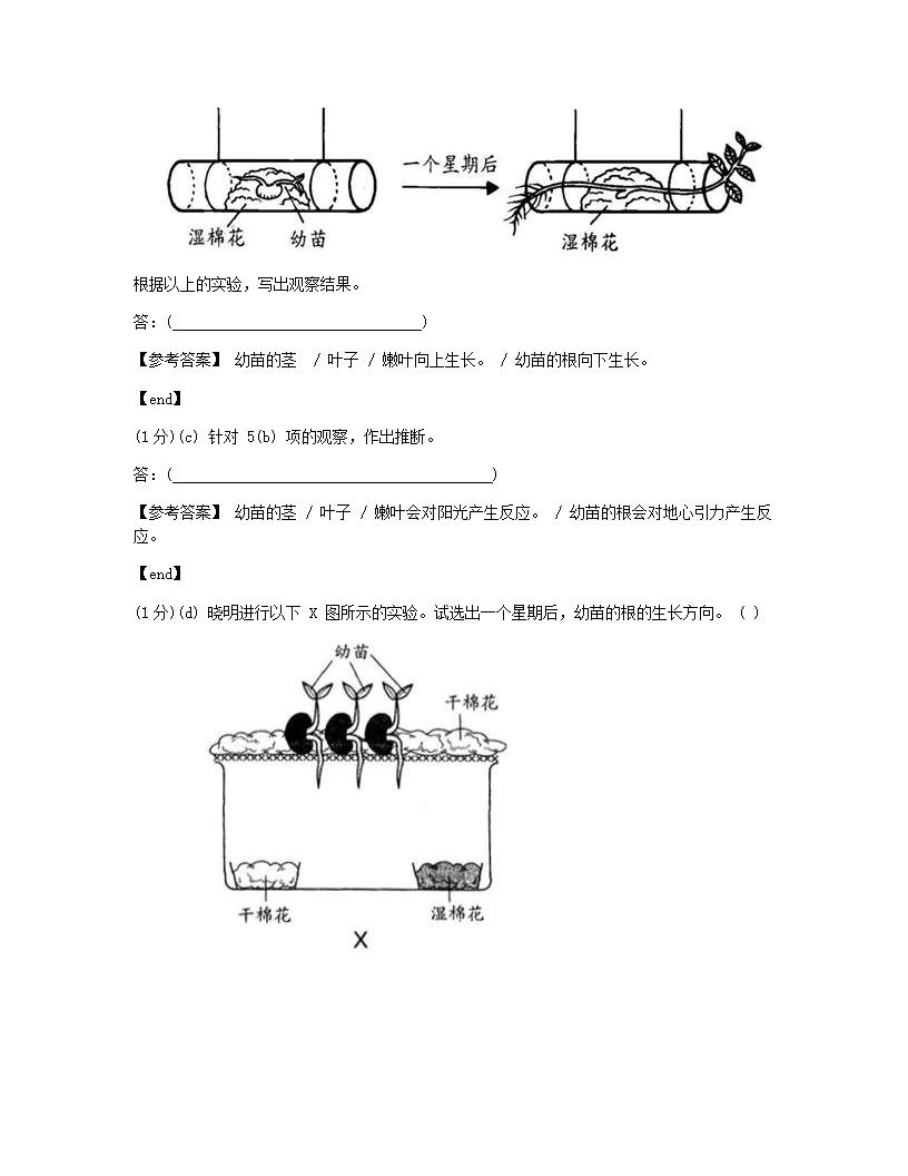 科学 - 试卷二.docx第6页