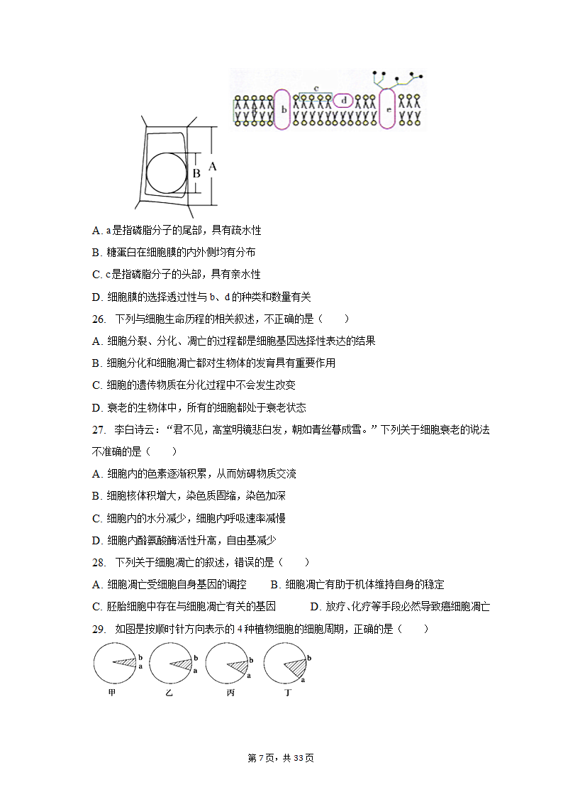 2022-2023学年吉林省通化市高一（上）期末生物试卷（Word版含解析）.doc第7页