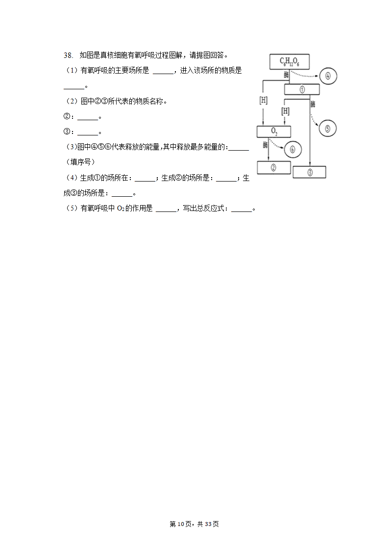 2022-2023学年吉林省通化市高一（上）期末生物试卷（Word版含解析）.doc第10页