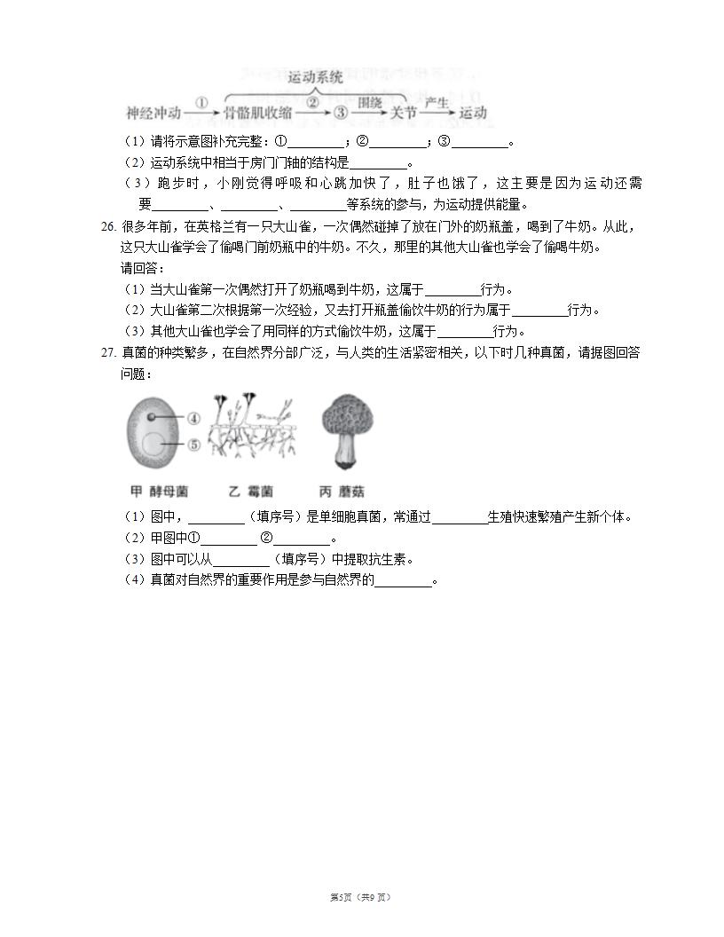 人教版八上生物 期末测试（一）（word版含解析）.doc第5页