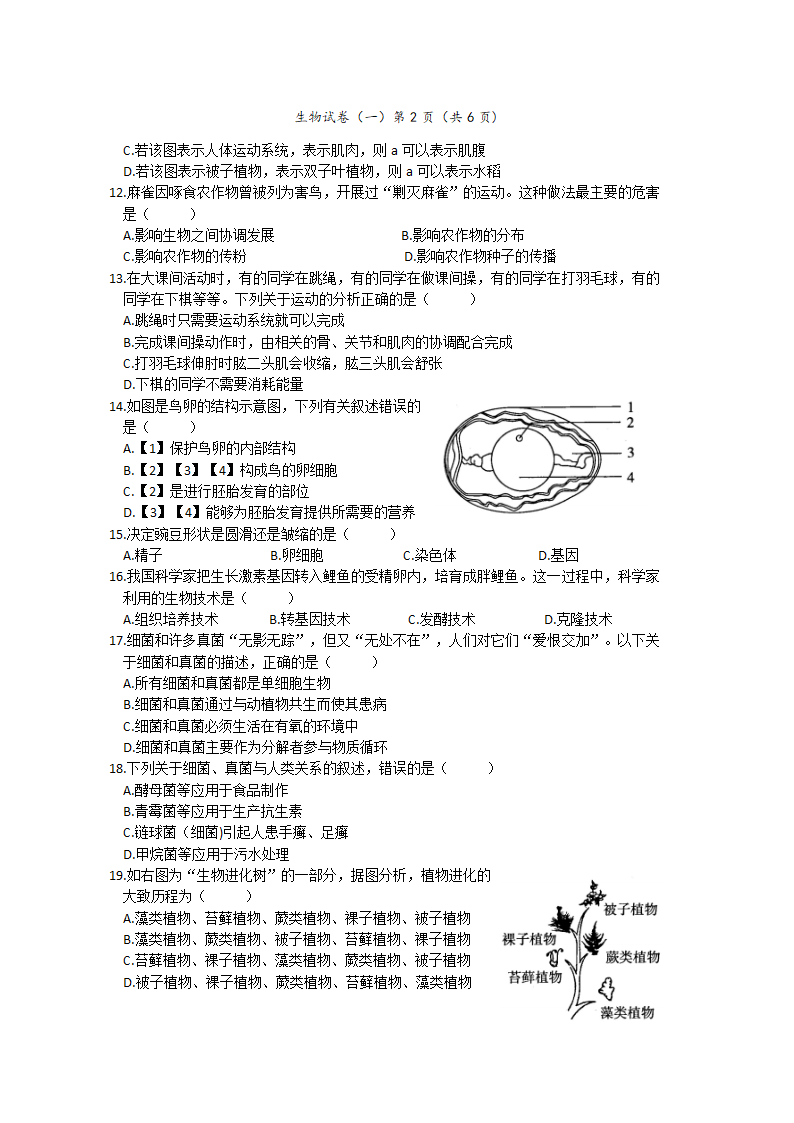 2022年河南省普通高中招生考试模拟试卷 生物（word版 含答案）.doc第3页