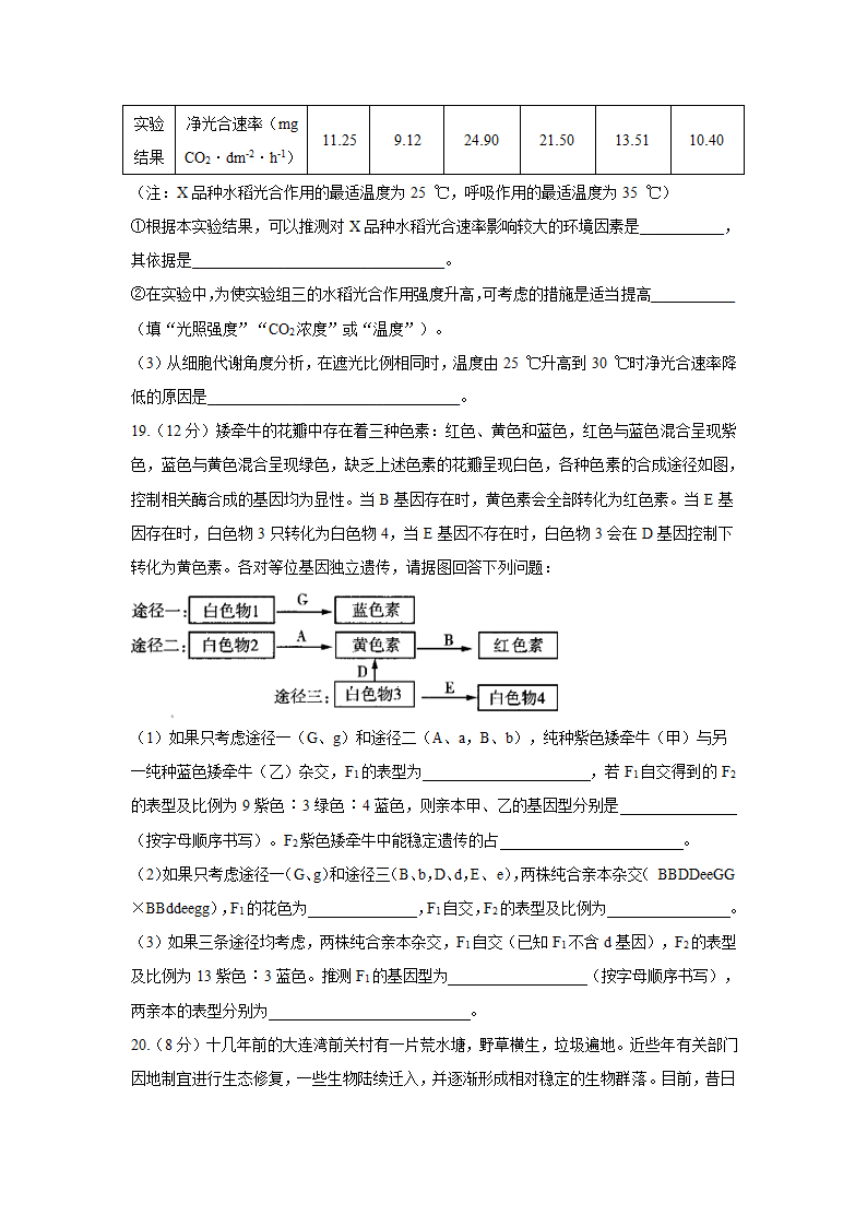 2021届高考生物广东广州钻石预测卷    Word版含解析.doc第6页