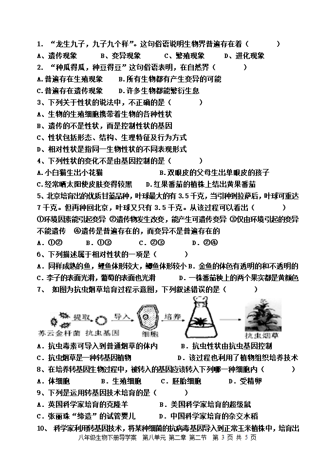 8.2.2 基因控制生物的性状 导学案（含答案）.doc第3页