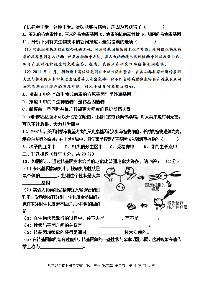 8.2.2 基因控制生物的性状 导学案（含答案）.doc第4页