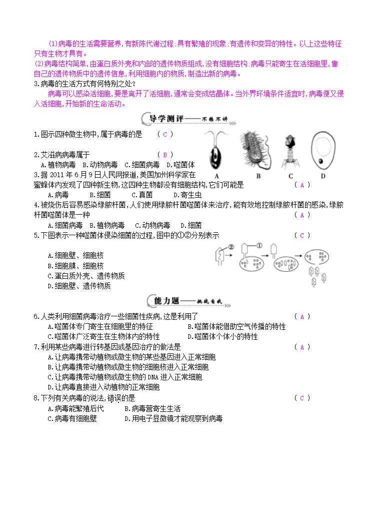 人教版八上生物 5.5病毒  （教案+导学案）.doc第4页