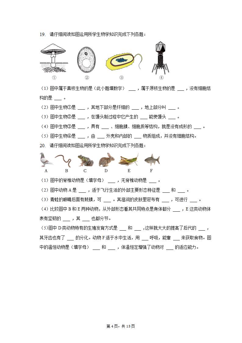 2022-2023学年青海省西宁市八年级（上）期末生物试卷（含解析）.doc第4页