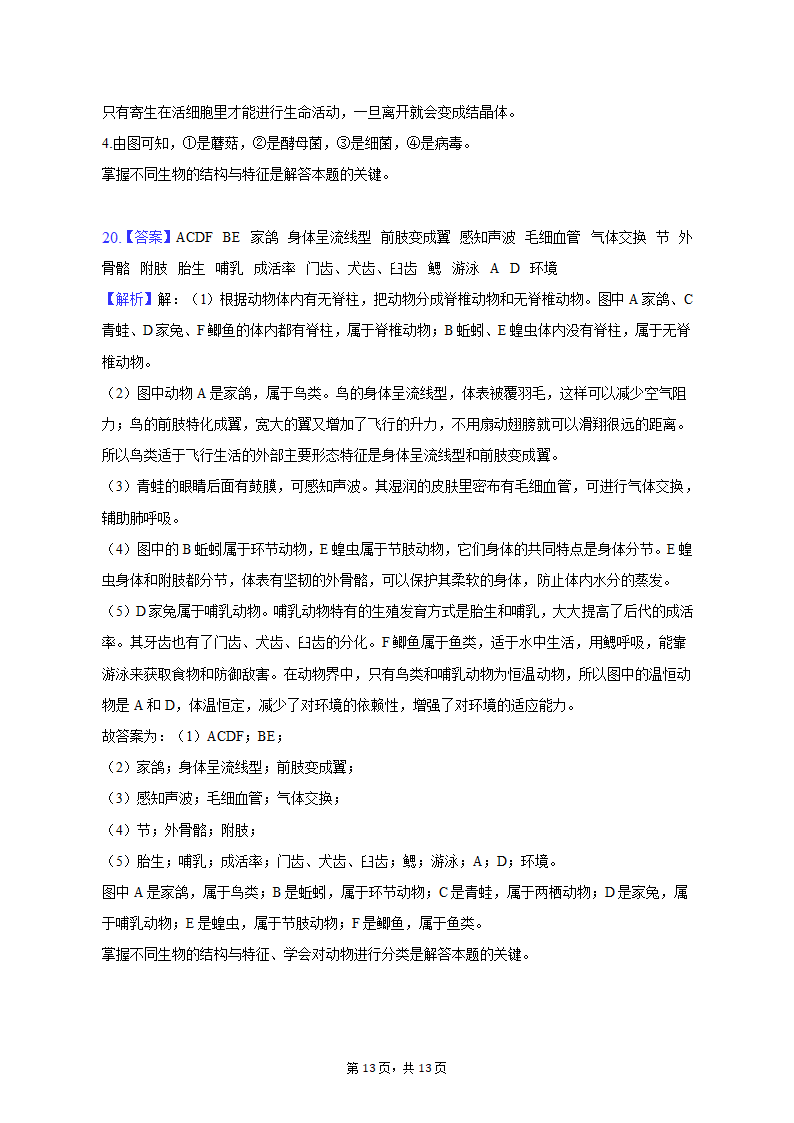 2022-2023学年青海省西宁市八年级（上）期末生物试卷（含解析）.doc第13页