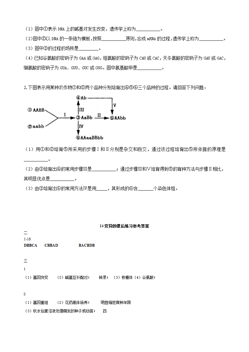 上海高考生物合格考专题复习练习：14变异  含答案.doc第3页