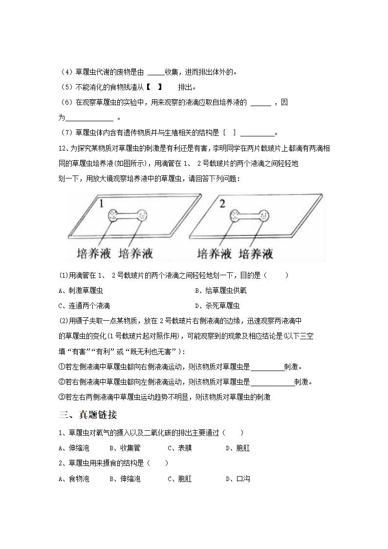 《第四节  单细胞生物体》同步练习1.doc第3页