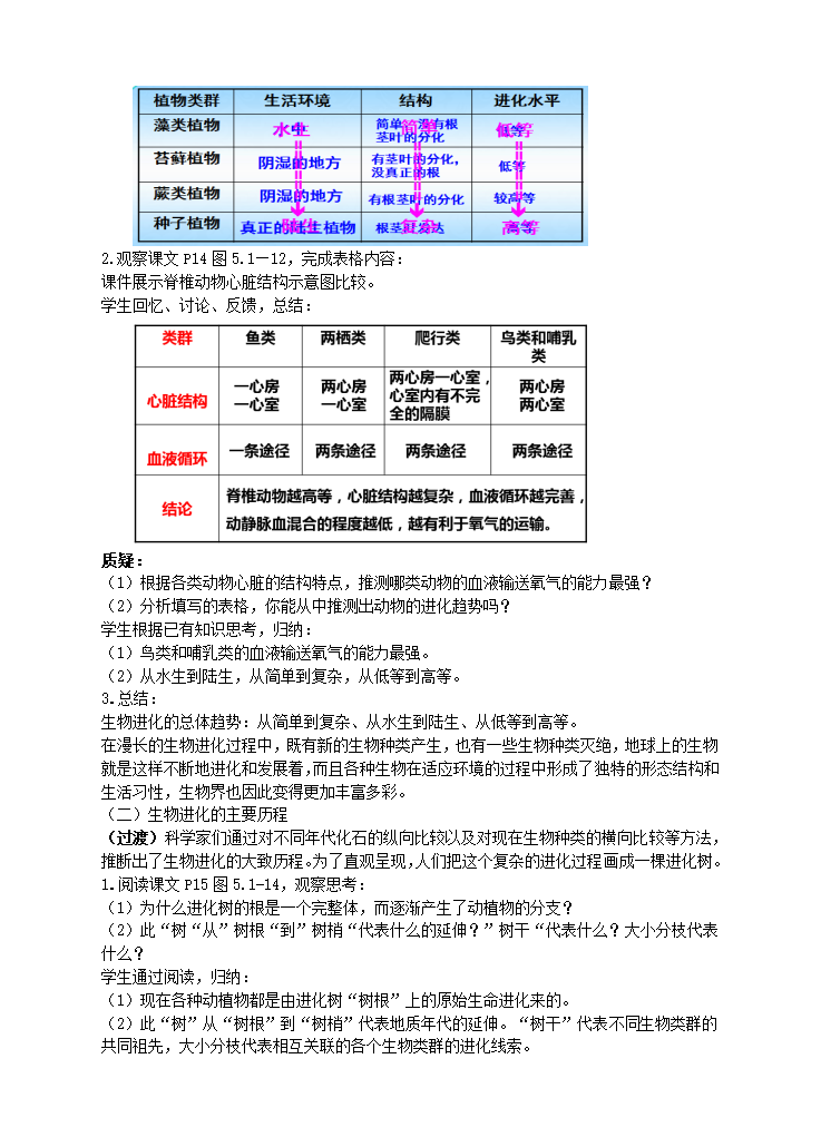 济南版生物八年级下册 5.1.3生物进化的历程教案.doc第2页