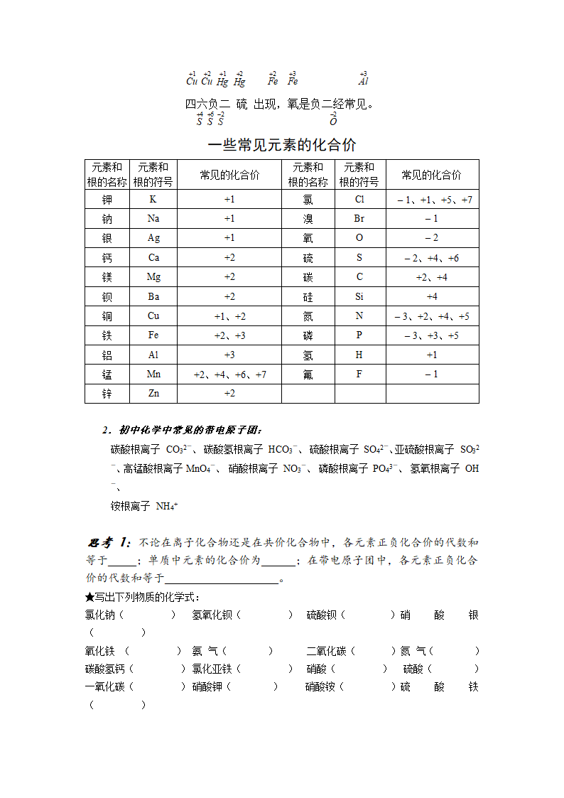 初高中化学衔接复习资料： 元素及化合物.doc第5页