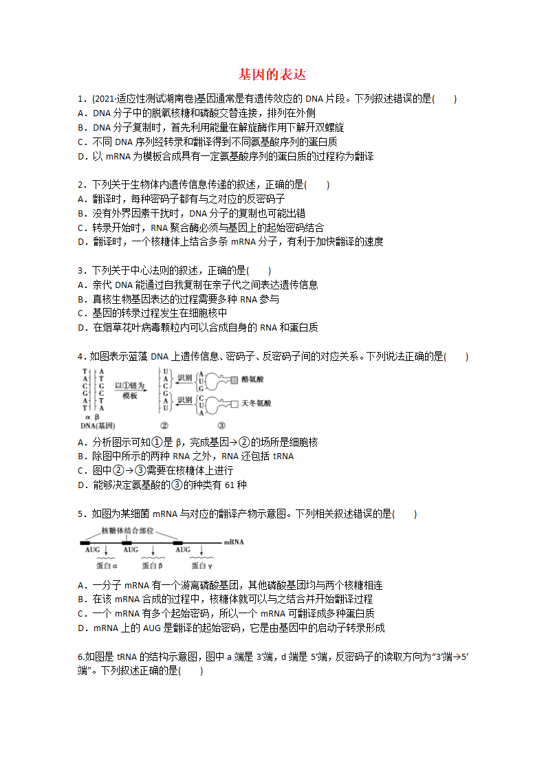 2022届高考生物一轮复习：基因的表达含解析.doc第1页