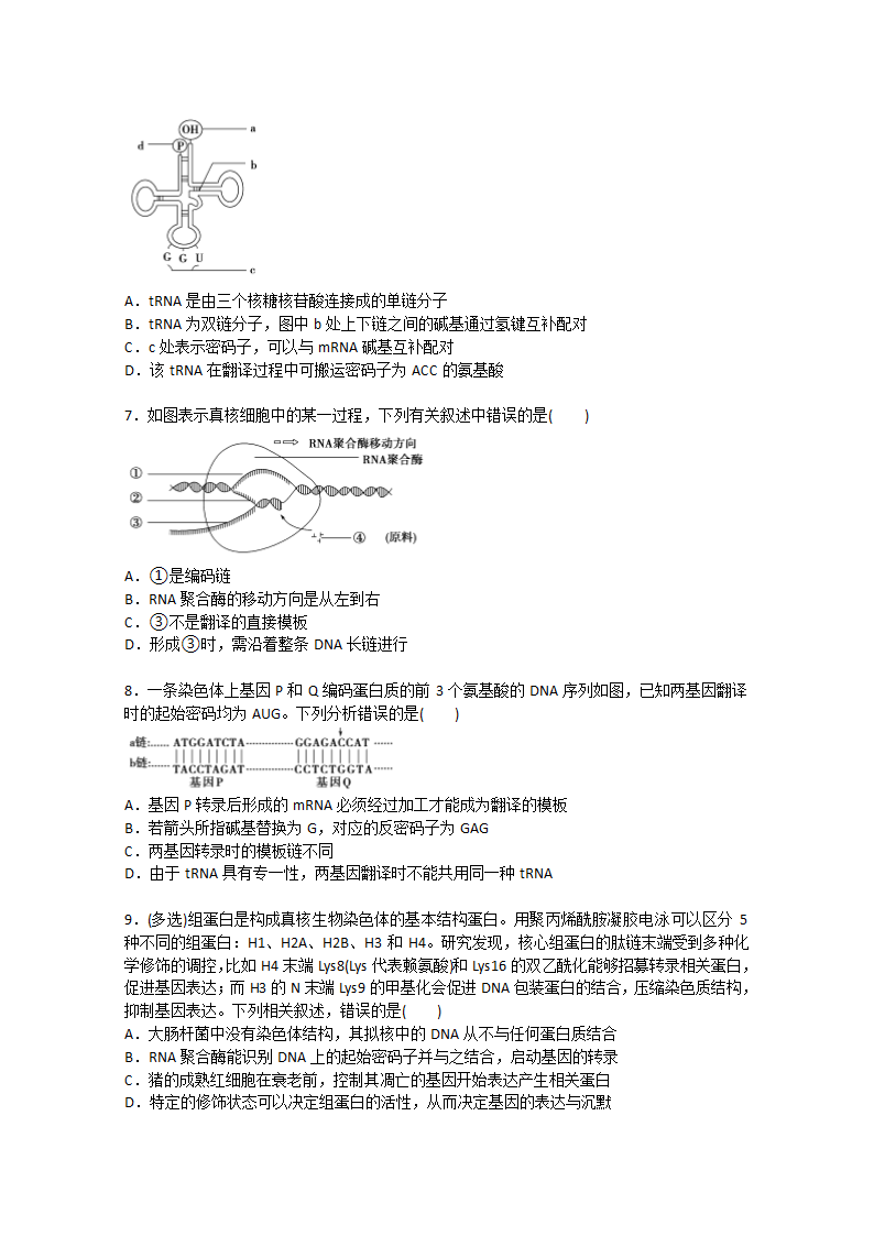 2022届高考生物一轮复习：基因的表达含解析.doc第2页