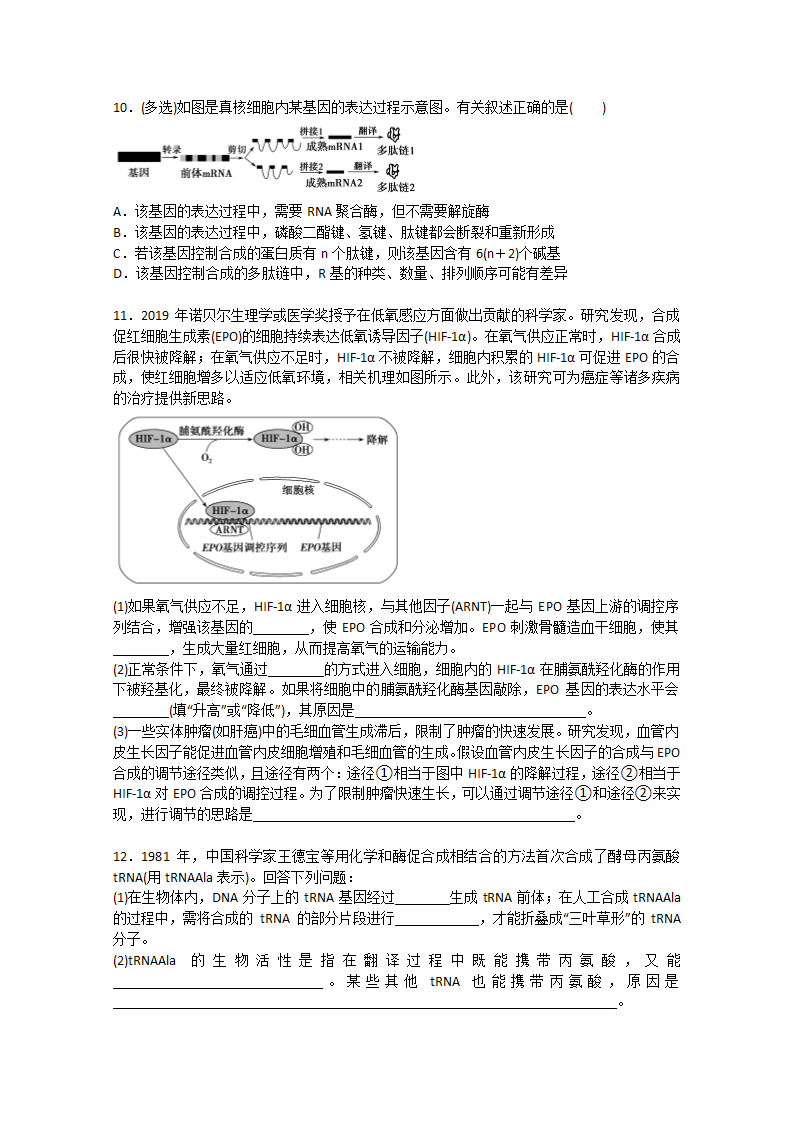 2022届高考生物一轮复习：基因的表达含解析.doc第3页