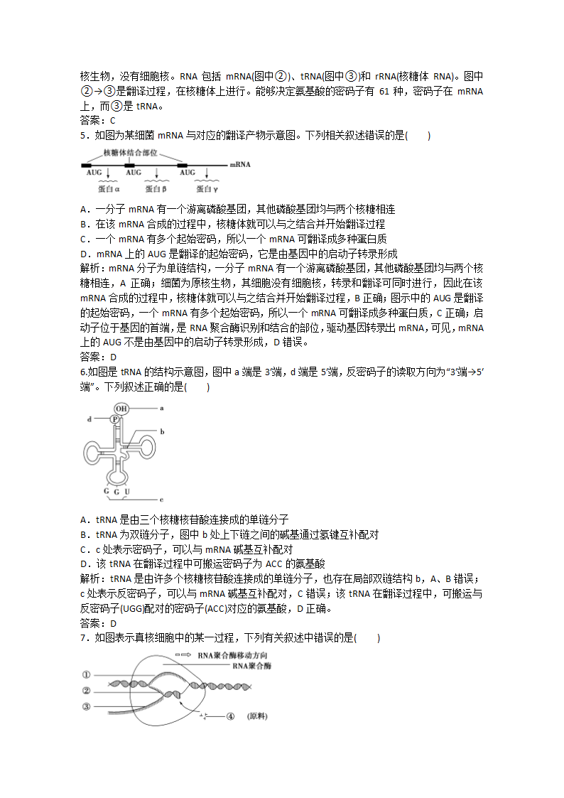 2022届高考生物一轮复习：基因的表达含解析.doc第6页