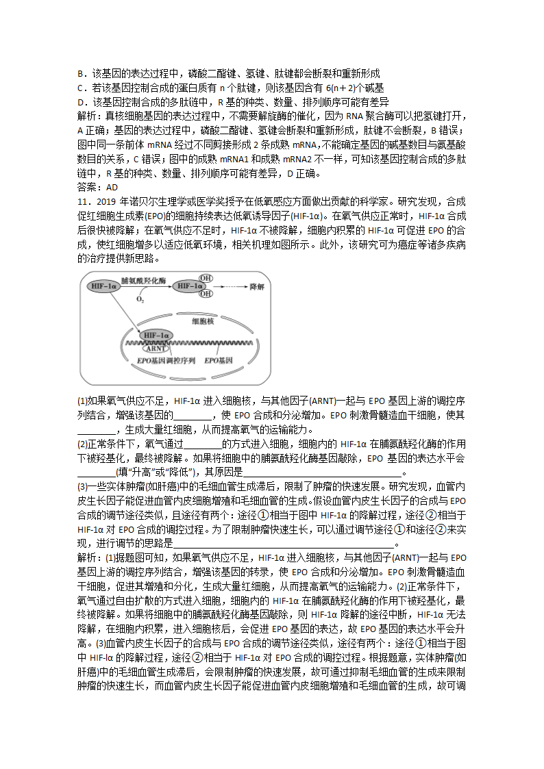 2022届高考生物一轮复习：基因的表达含解析.doc第8页