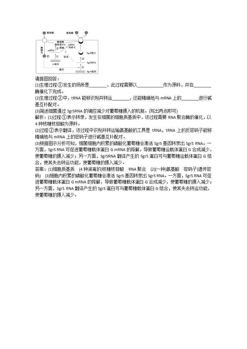 2022届高考生物一轮复习：基因的表达含解析.doc第10页