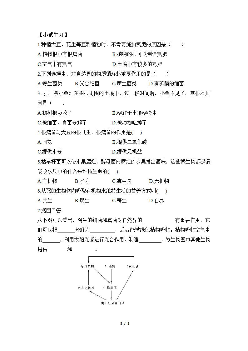 《微生物在生物圈中的作用》导学案1.doc第3页