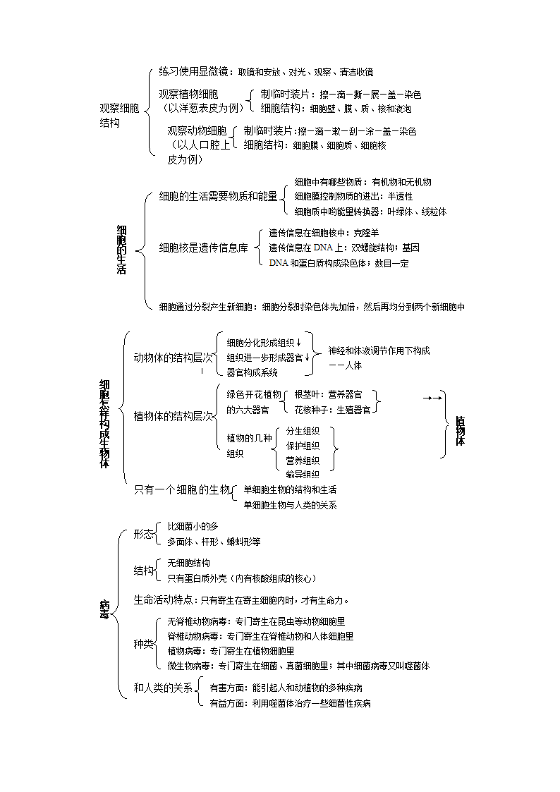 七年级生物（上）复习提纲[上学期].doc第2页