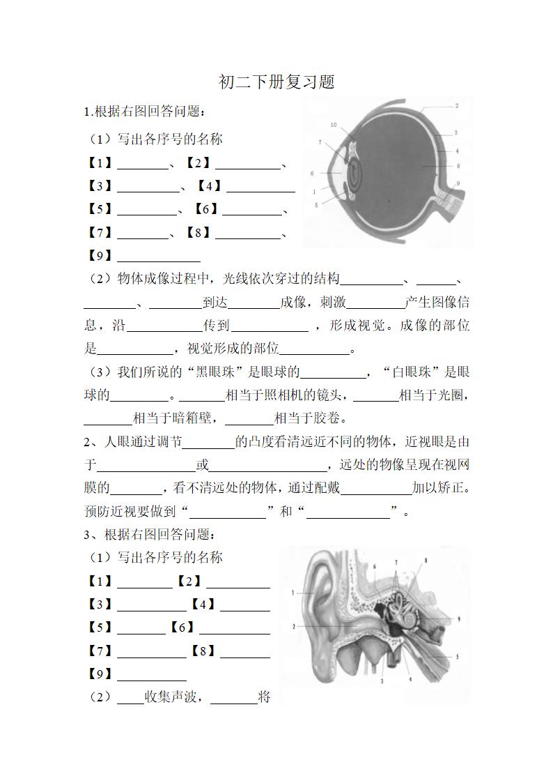 初二生物下册复习学案.doc第1页