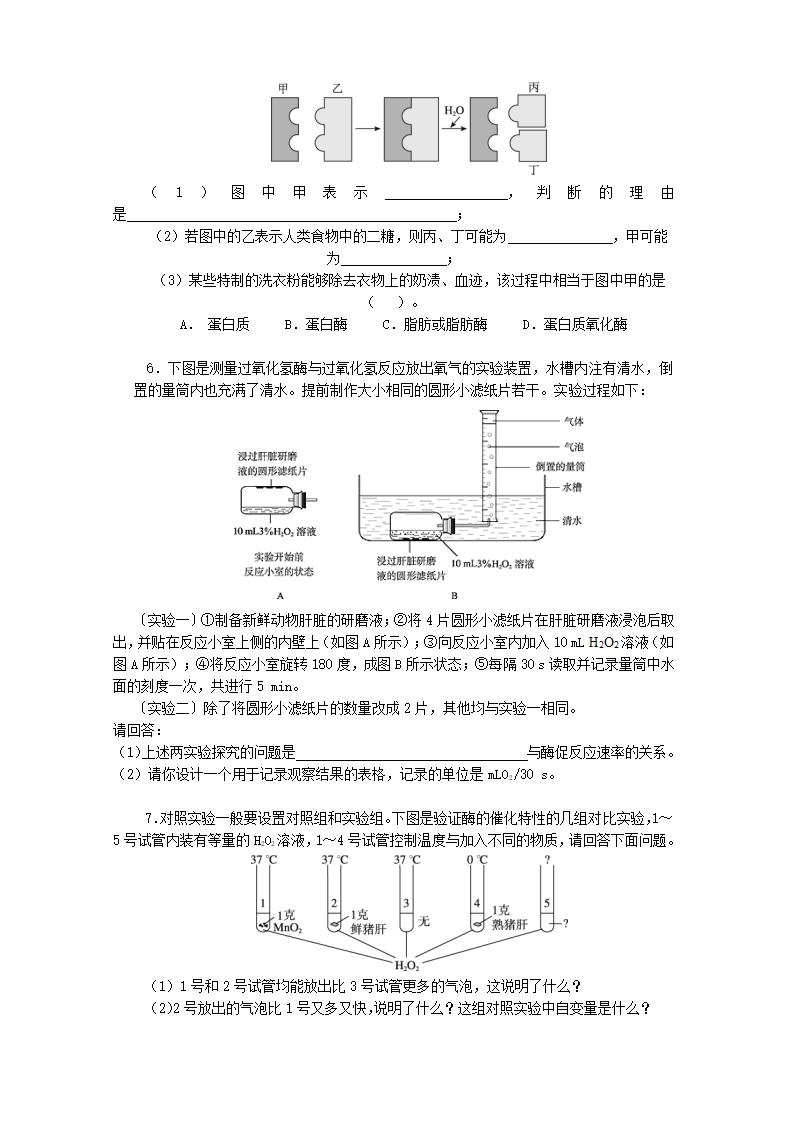 降低化学反应活化能的酶（第1课时）教案.doc第7页