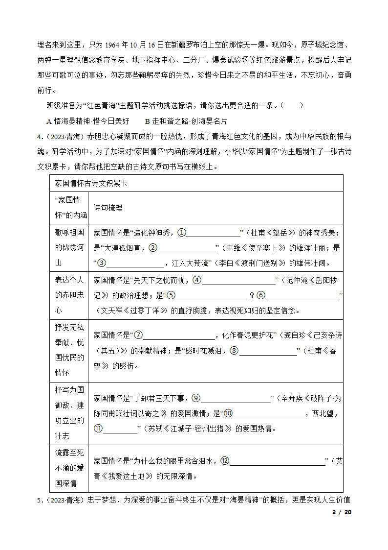 青海省2023年中考语文真题试卷.doc第2页