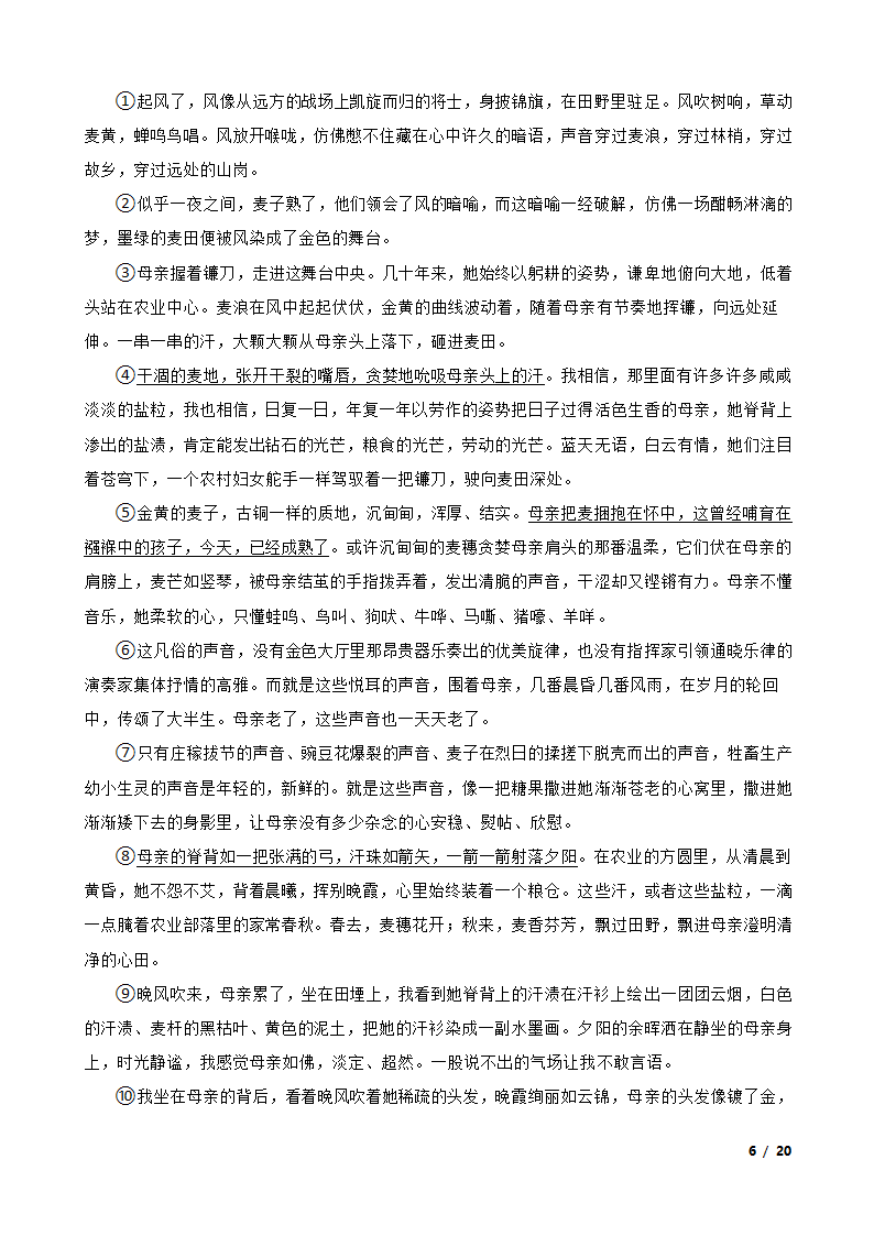 青海省2023年中考语文真题试卷.doc第6页