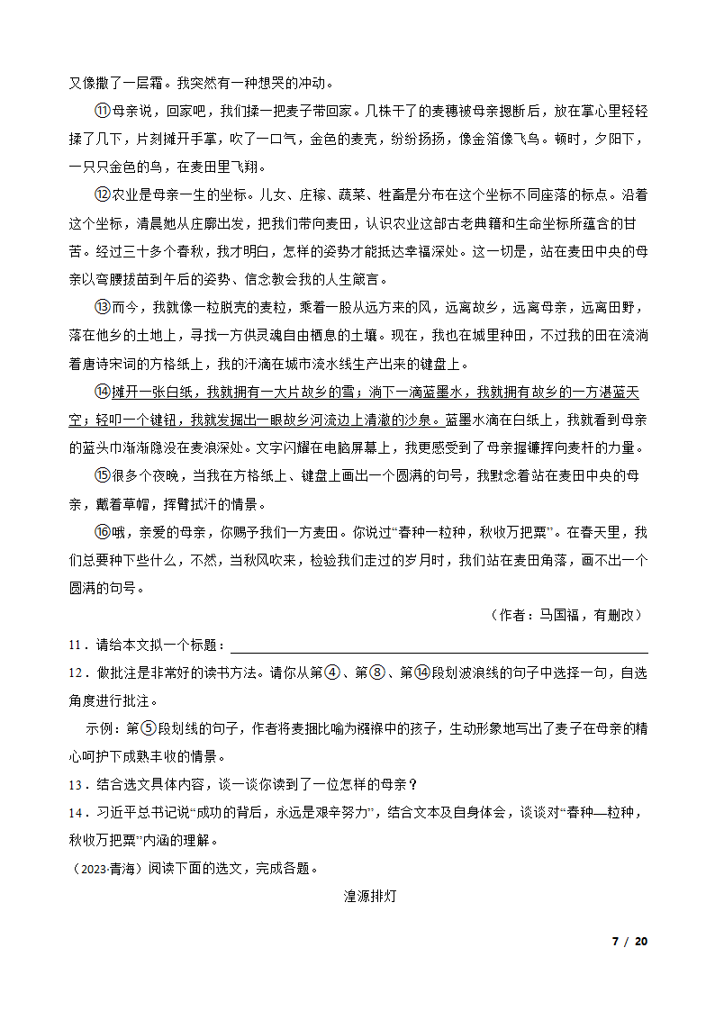 青海省2023年中考语文真题试卷.doc第7页