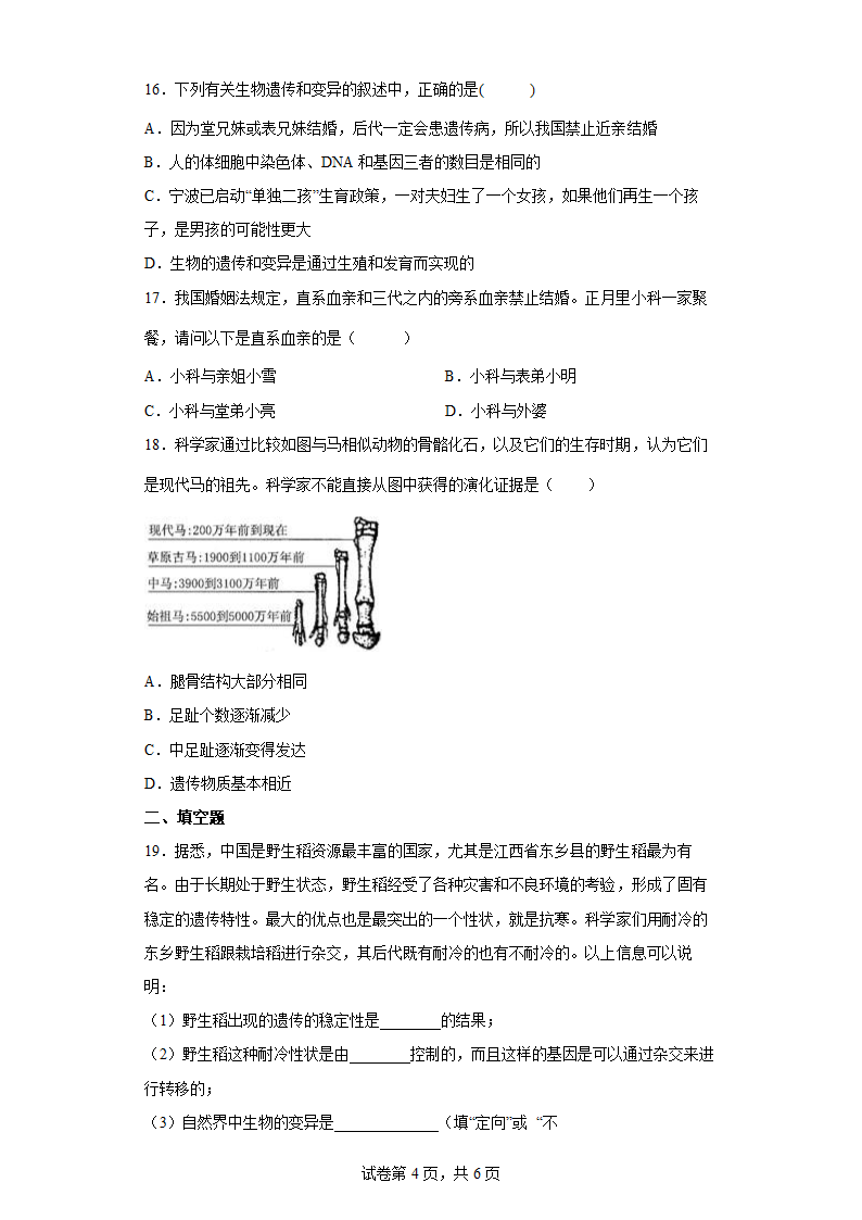 第五章 生物的遗传和变异 同步训练（含答案）.doc第4页