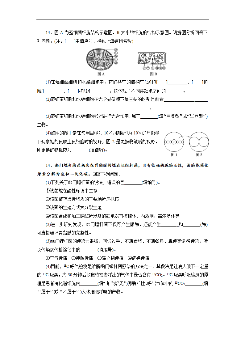 走近细胞2023届新高考生物一轮复习（含解析）.doc第4页