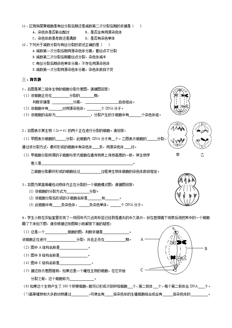 上海高考生物合格考专题复习练习：11减数分裂.doc第2页