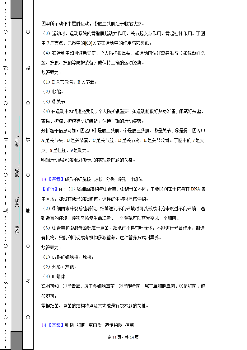 四川省南充市期末生物试卷（含解析）2022-2023学年八年级（上）.doc第11页