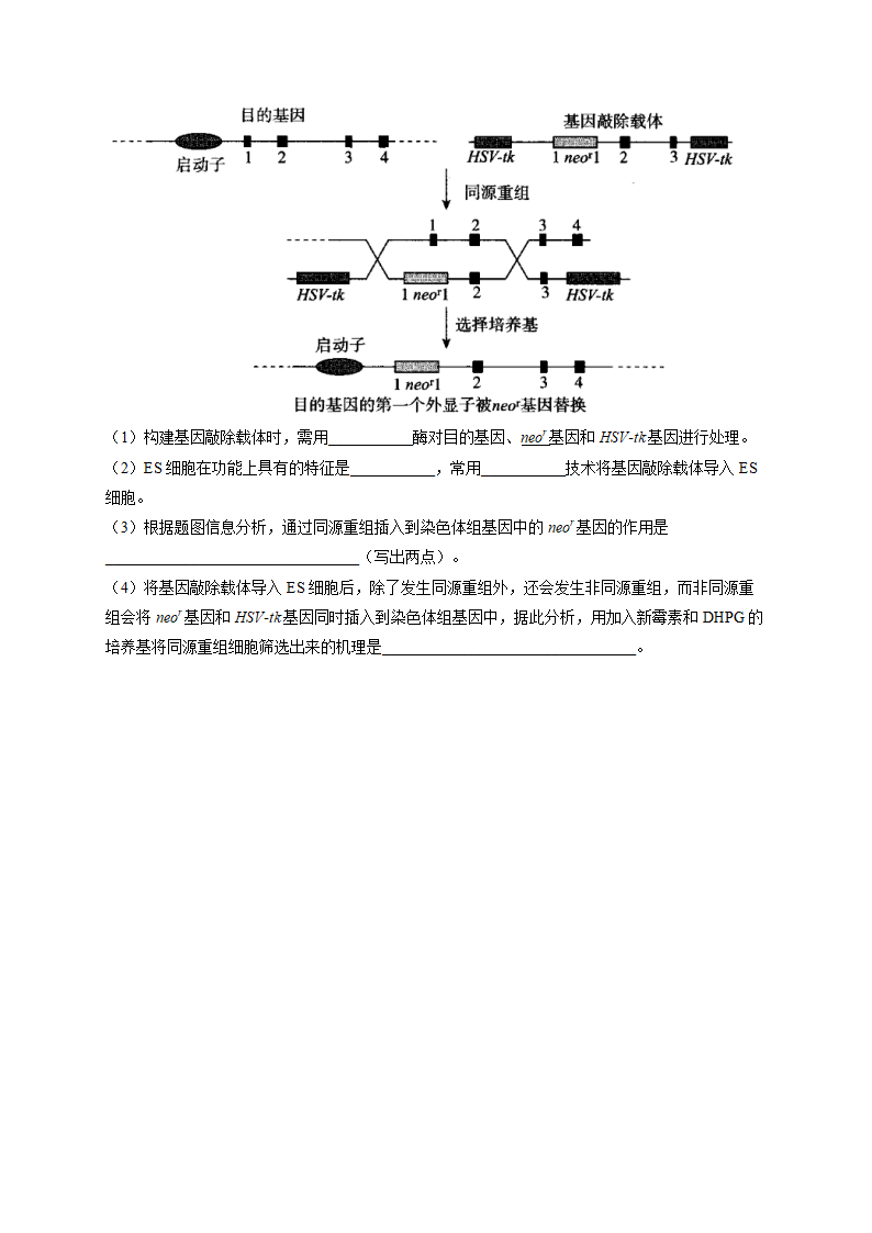 2023届高三生物开学摸底练习卷（山东卷）（有解析）.doc第8页