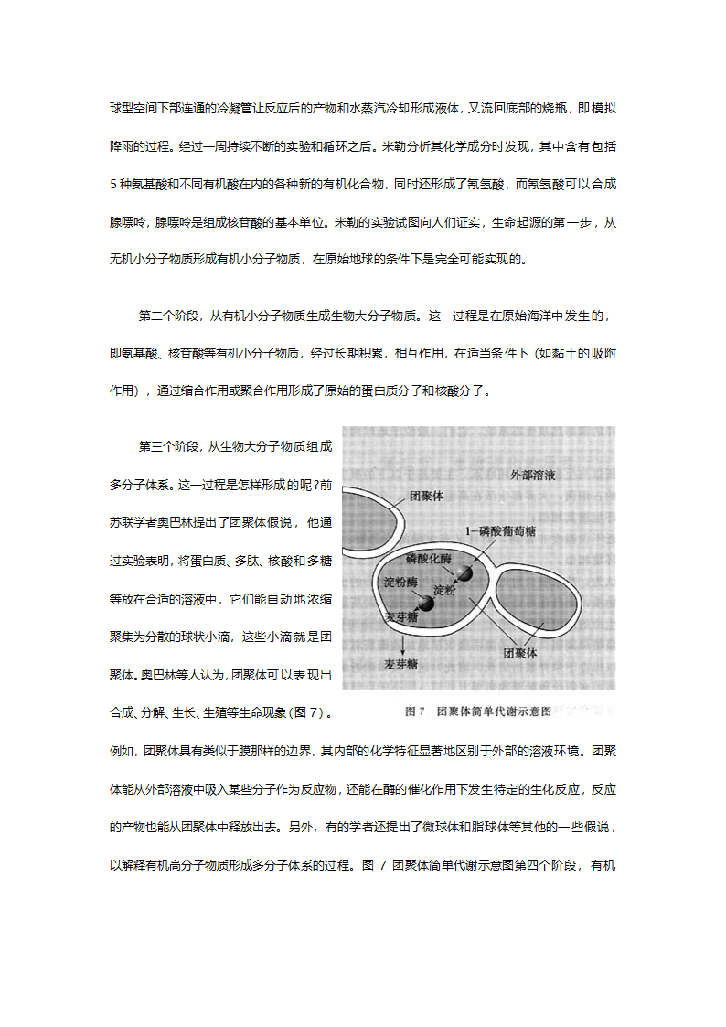 人教版八年级生物《7.31地球上生命的起源》教案.doc第7页