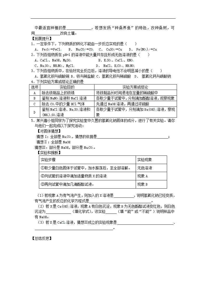 鲁教版化学 第七单元 常见的酸和碱复习课 导学案.doc第4页