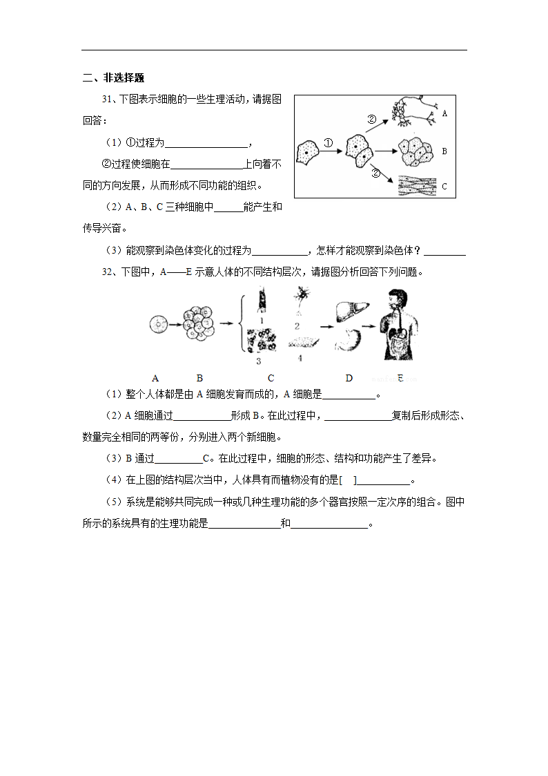 第4章《生物体的结构层次》习题1.doc第4页