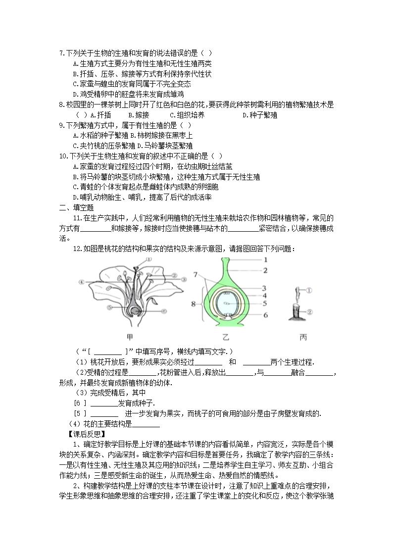 人教版生物八年级下册  7.1.1 植物的生殖 教学设计.doc第4页