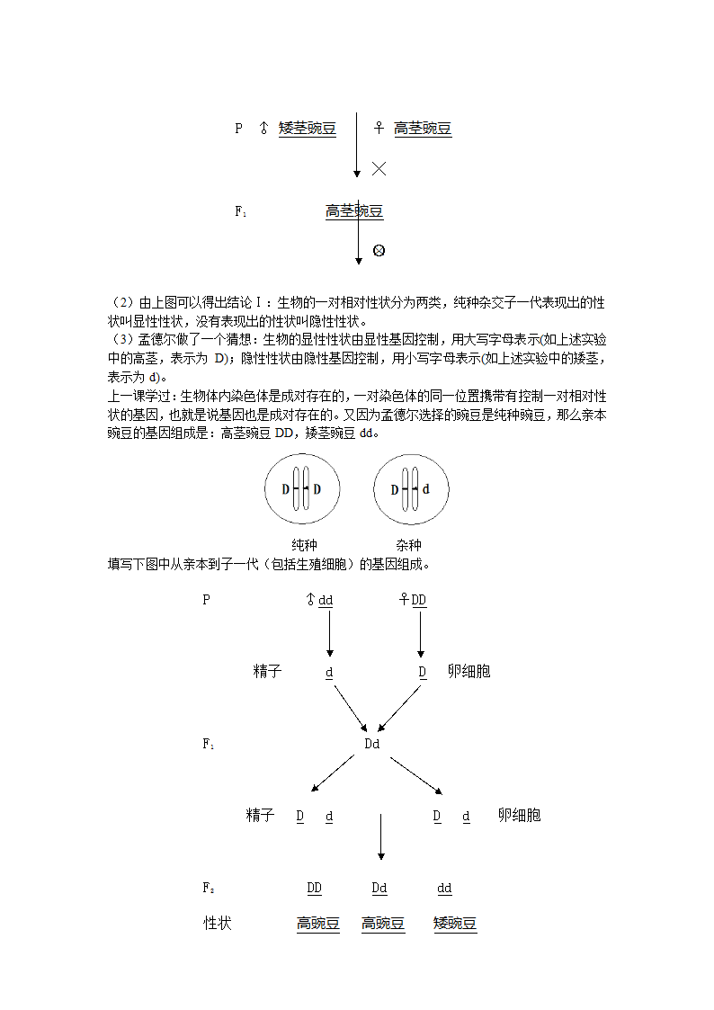 人教版生物八年级下册 7.2.3基因的显性与隐性-教案.doc第2页