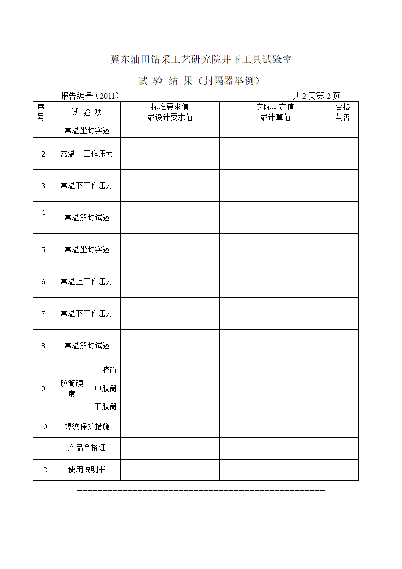 井下工具试验室封隔器检测报告(通用)第4页